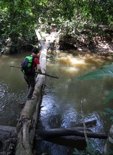 Rando a KhaoYai National Park