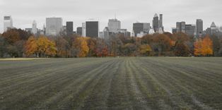 New-York, Central Park